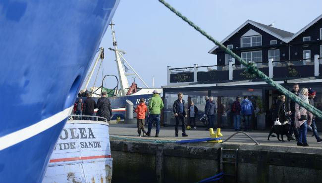 Skyfish-foto Ringkøbing Fjord Turisme